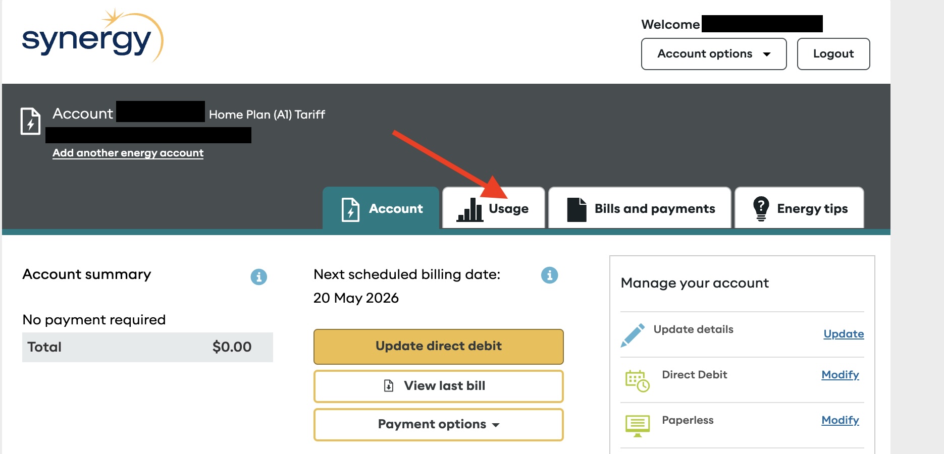 Screenshot of Synergy My Account showing the usage dashboard